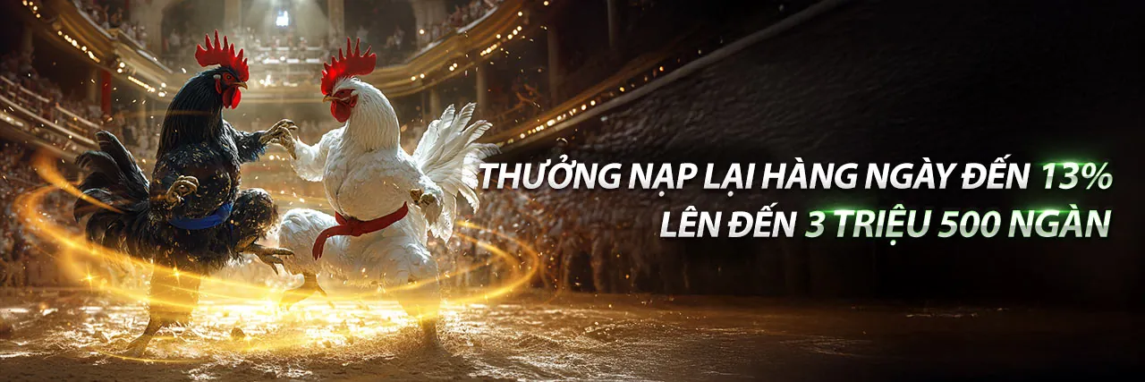 Đá gà trực tiếp sôi động tại 7789bet link mới nhất